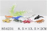 <img src=/UpLoadFile/BigPic/2020_6/854231.jpg width=300>