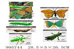 <img src=/UpLoadFile/BigPic/2026_6/995744.jpg width=300>