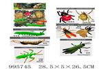 <img src=/UpLoadFile/BigPic/2026_6/995745.jpg width=300>